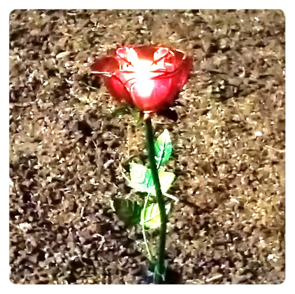 Meet your Posher, Magdalena - Picture 1 of 1